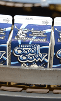 m b cool cow